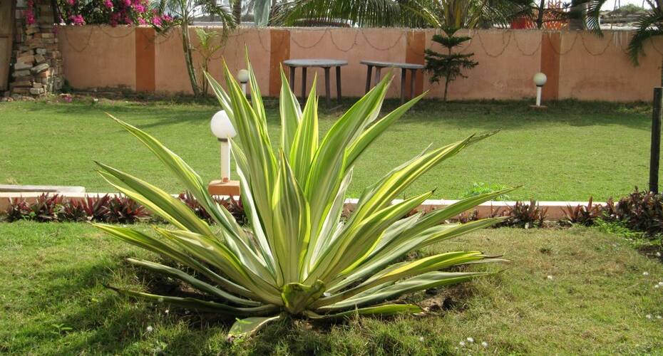 Hotel Belanibas, Shankarpur 4